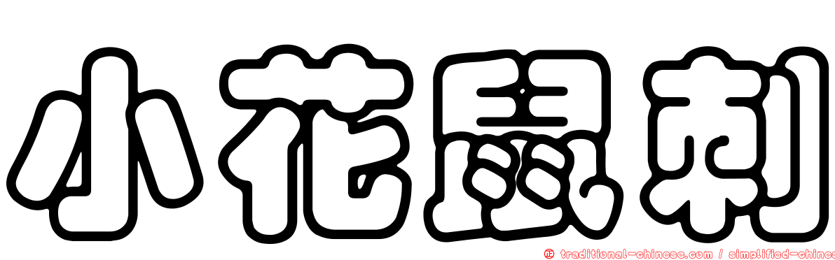 小花鼠刺