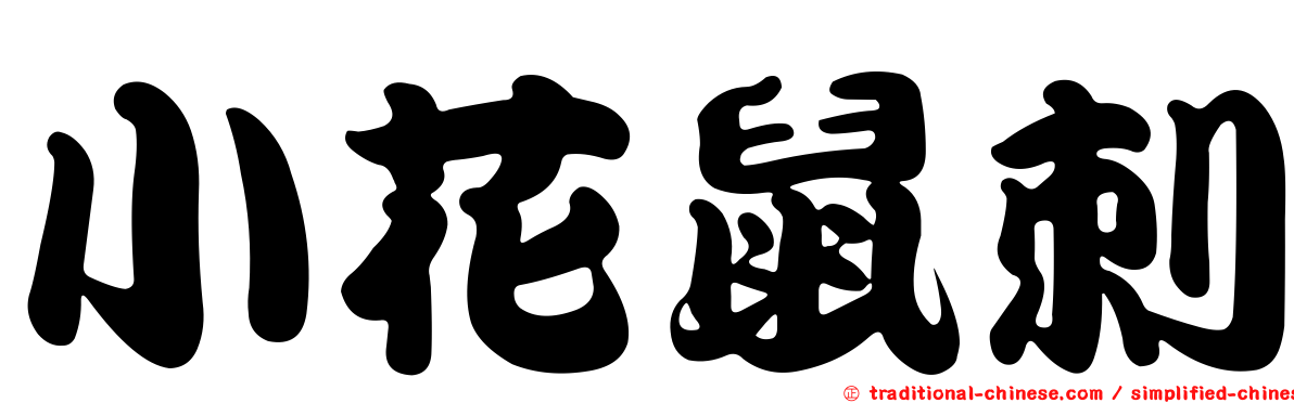 小花鼠刺