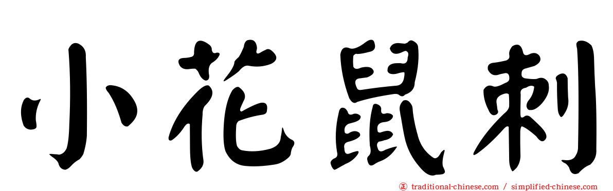 小花鼠刺