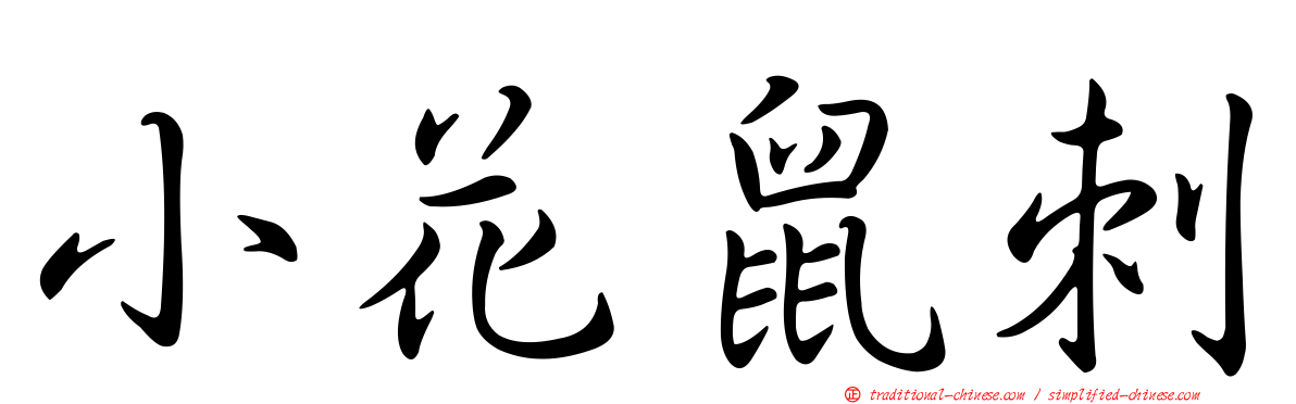 小花鼠刺