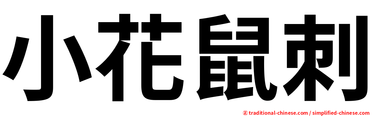 小花鼠刺