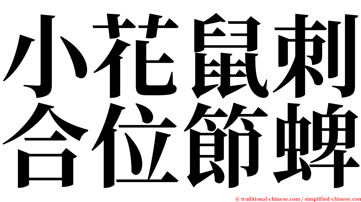小花鼠刺合位節蜱 serif font