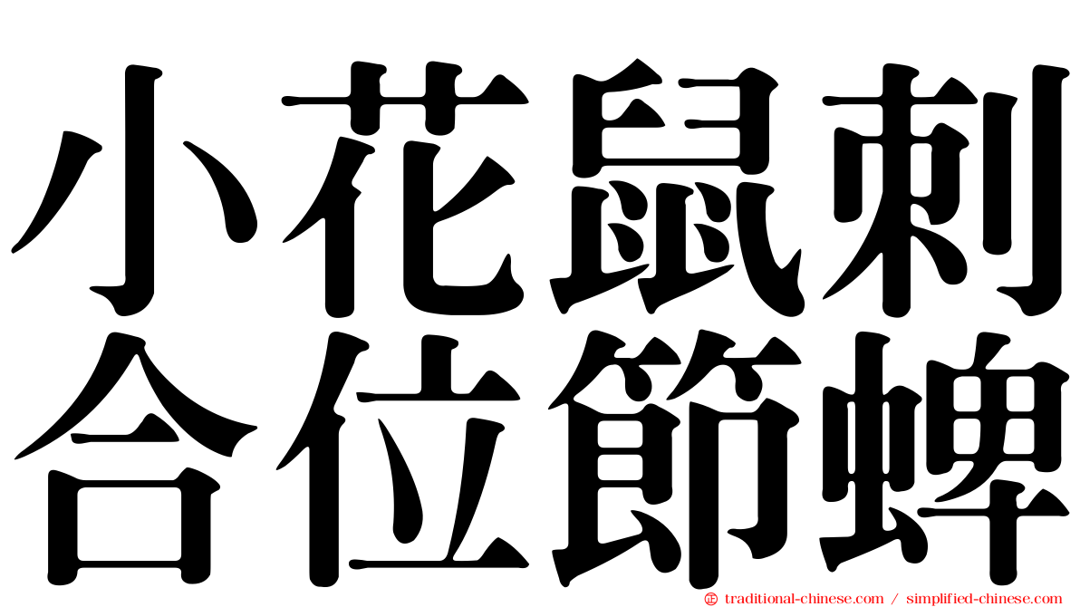 小花鼠刺合位節蜱