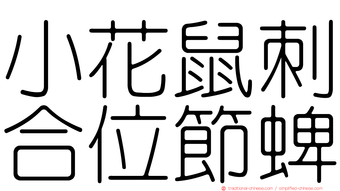 小花鼠刺合位節蜱