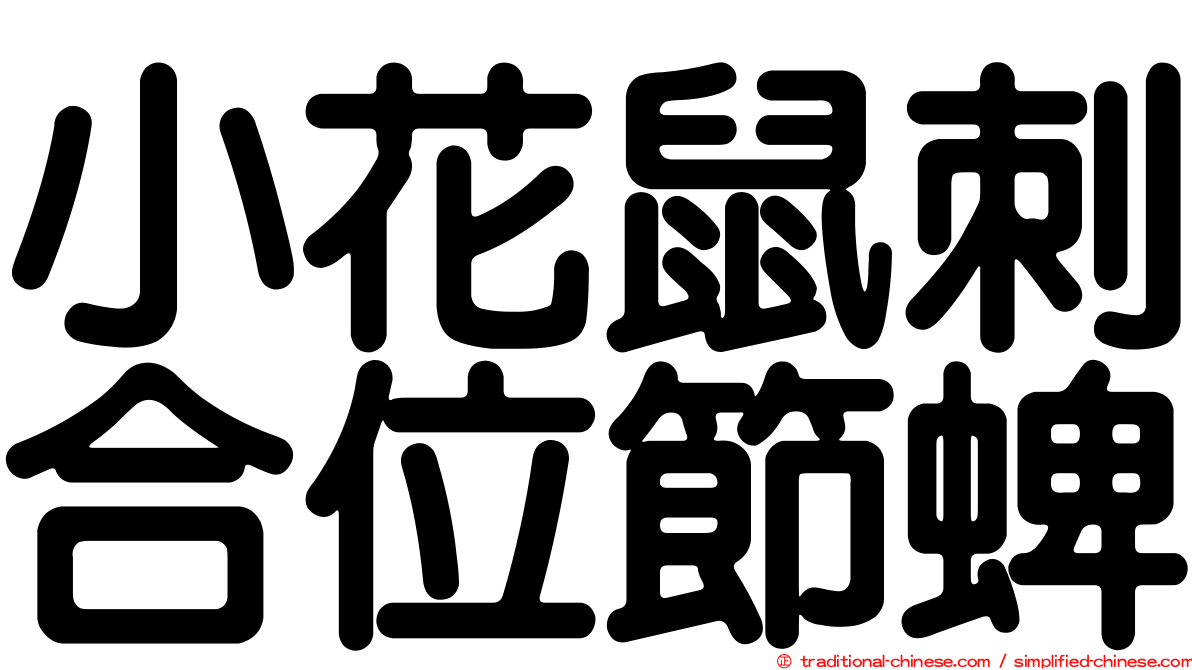 小花鼠刺合位節蜱