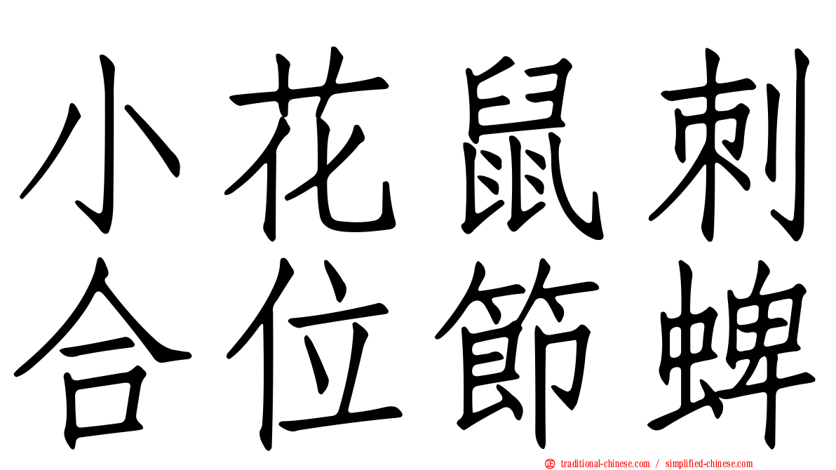 小花鼠刺合位節蜱
