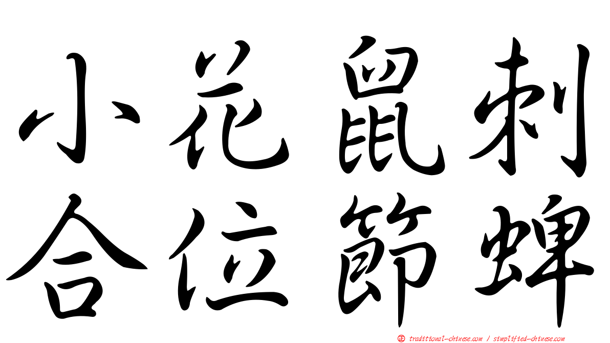 小花鼠刺合位節蜱