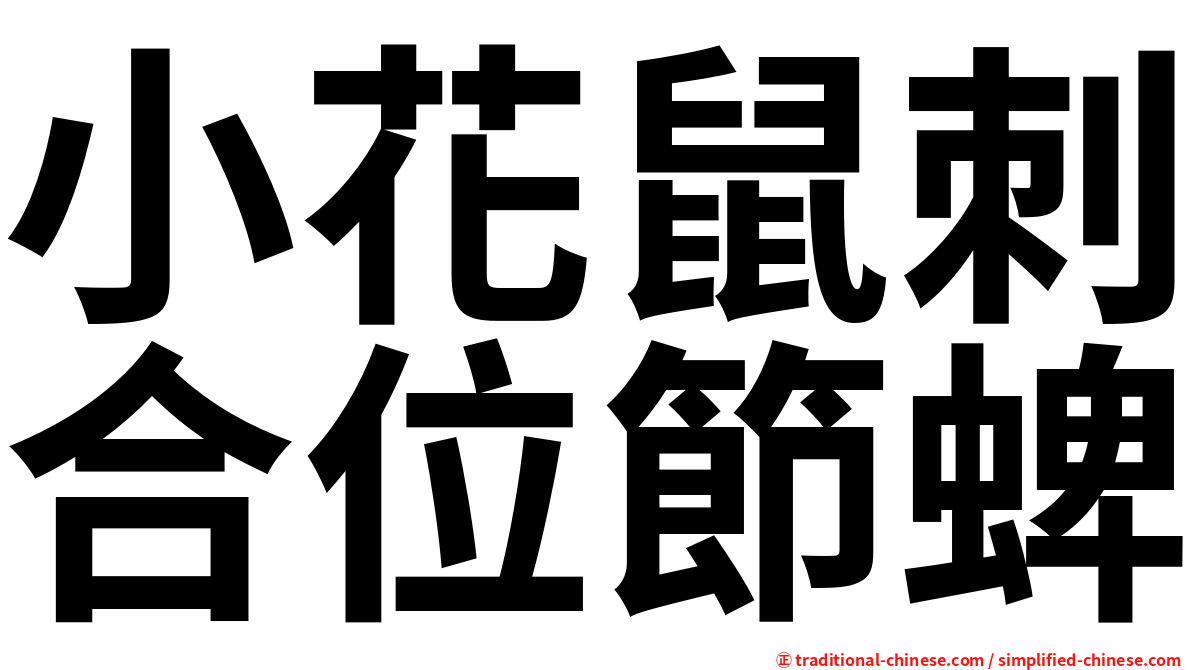 小花鼠刺合位節蜱
