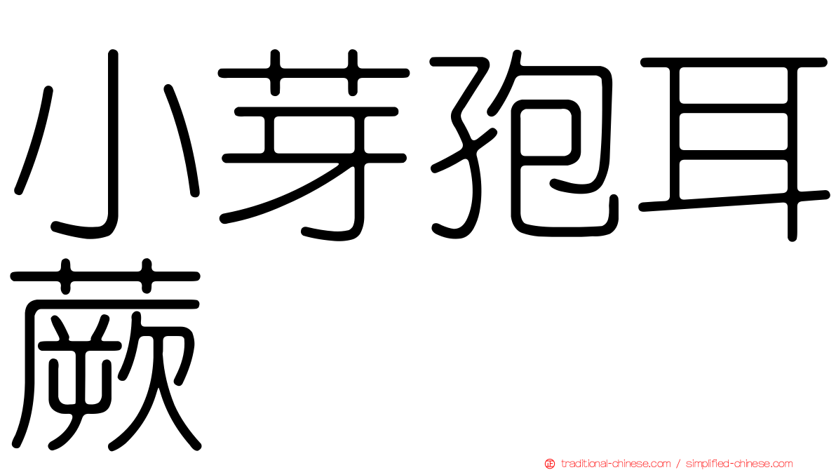 小芽孢耳蕨