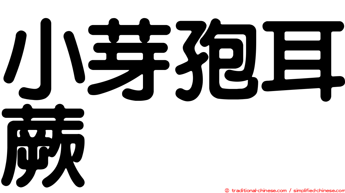 小芽孢耳蕨