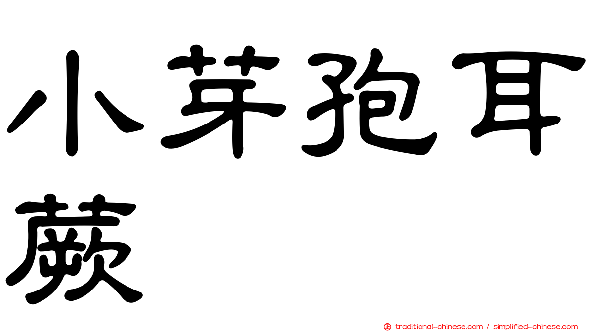 小芽孢耳蕨