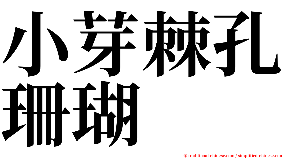 小芽棘孔珊瑚 serif font