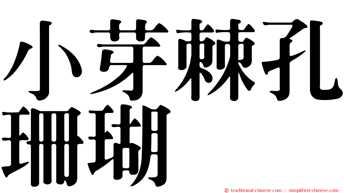 小芽棘孔珊瑚