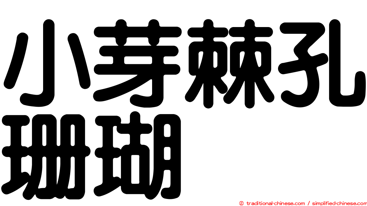 小芽棘孔珊瑚