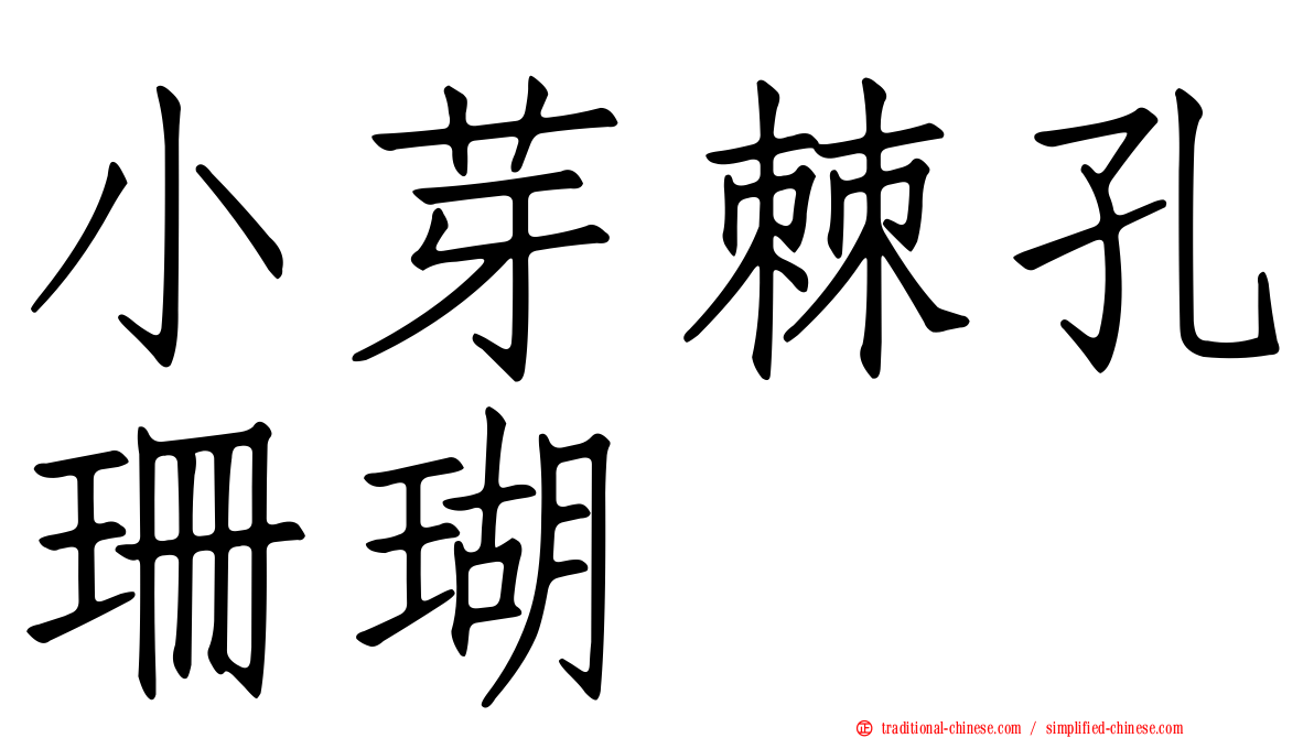小芽棘孔珊瑚