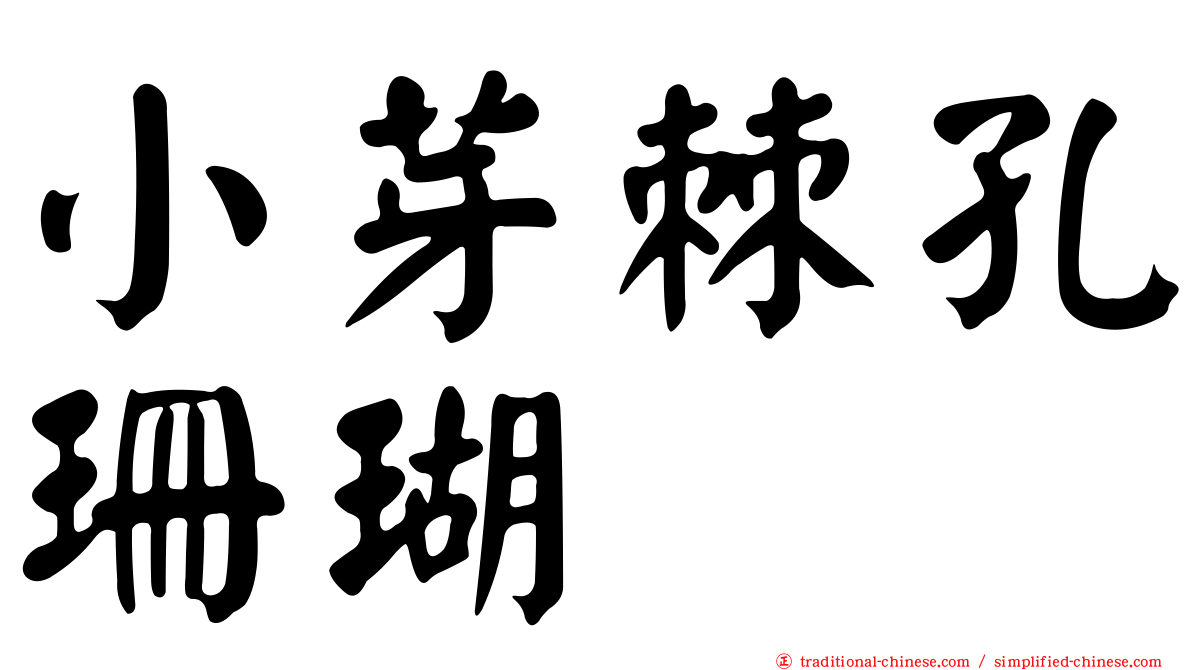 小芽棘孔珊瑚