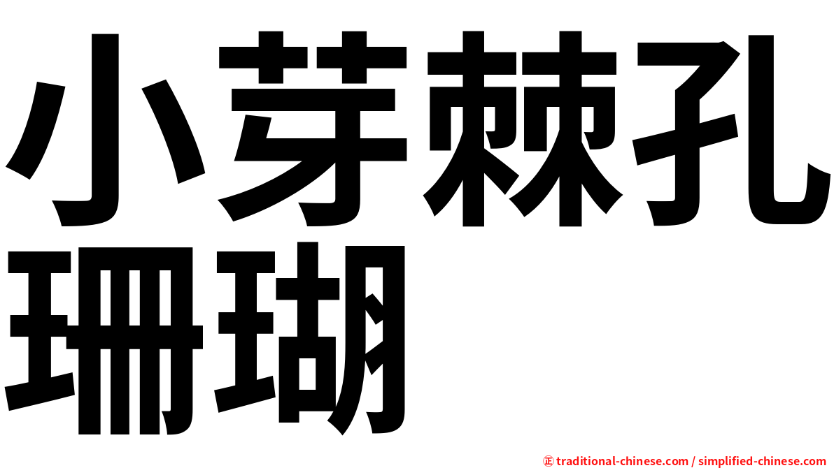 小芽棘孔珊瑚