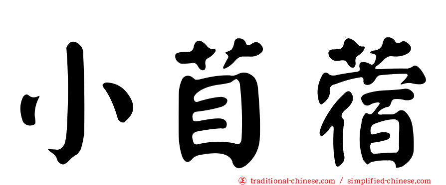 小苜蓿
