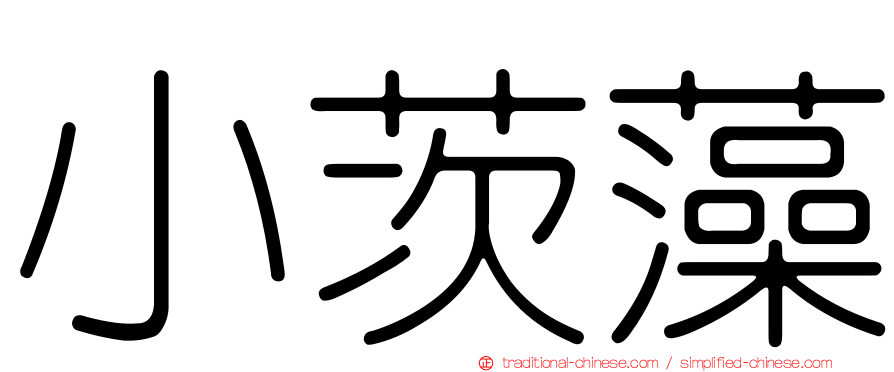小茨藻