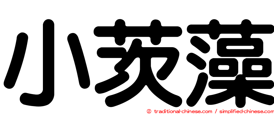 小茨藻