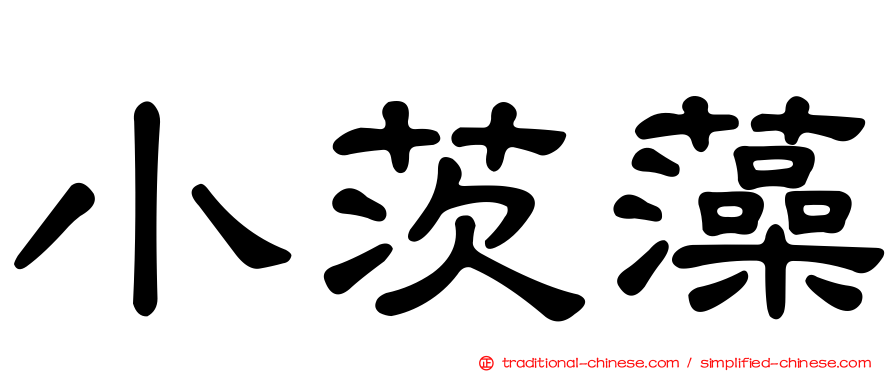 小茨藻