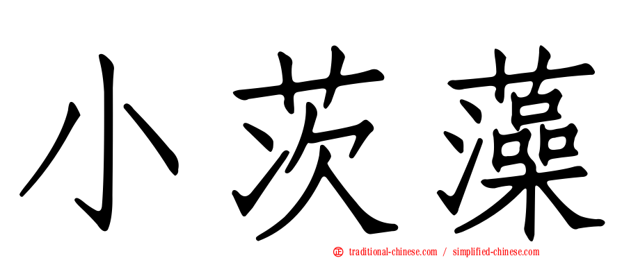 小茨藻
