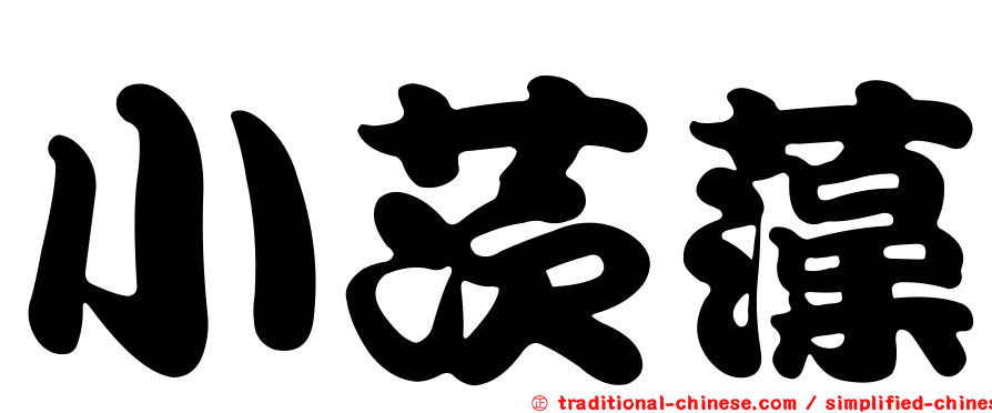 小茨藻