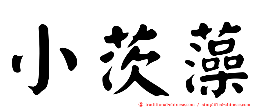 小茨藻