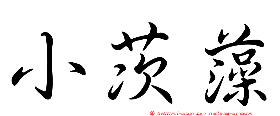 小茨藻