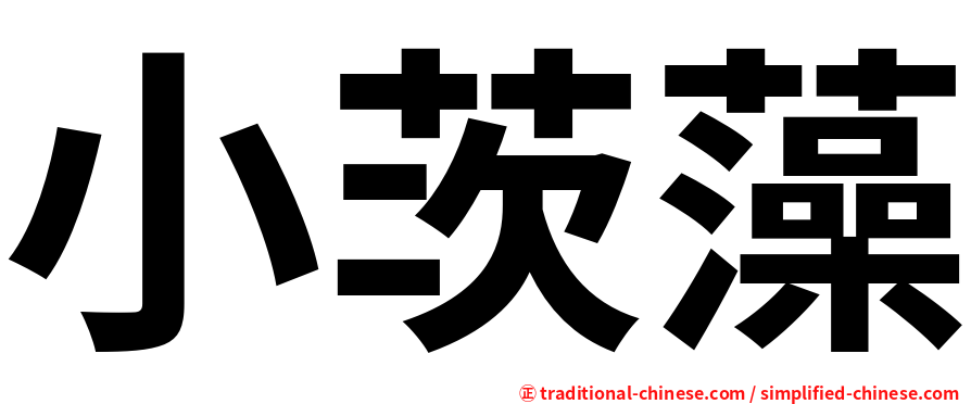 小茨藻