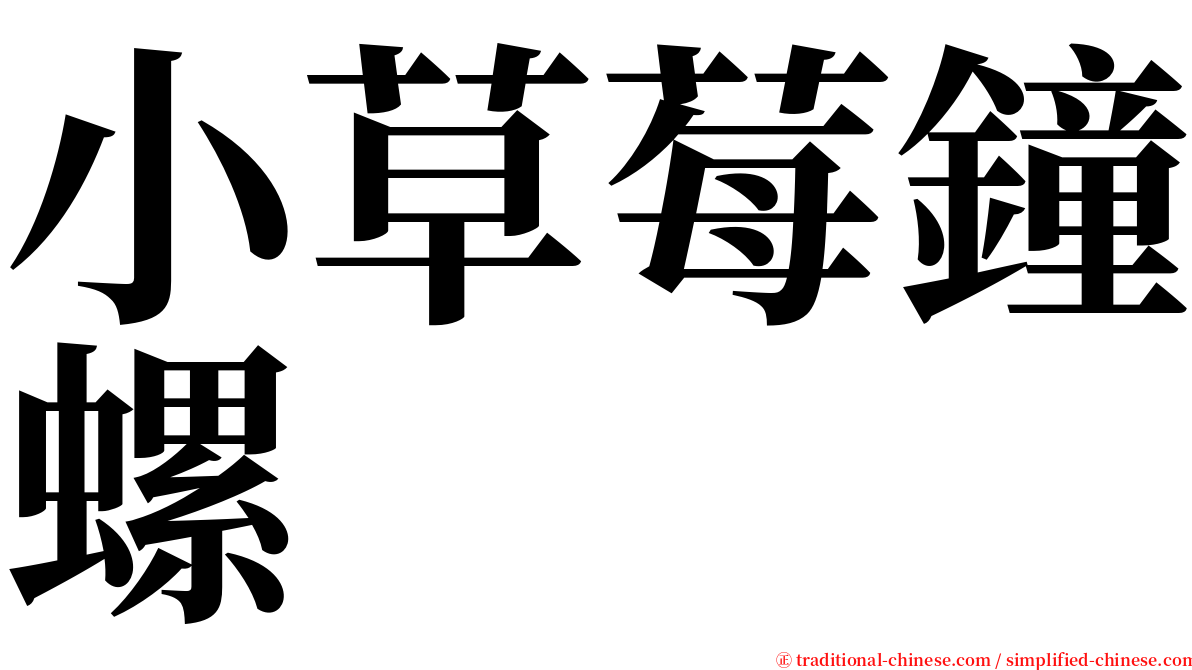 小草莓鐘螺 serif font