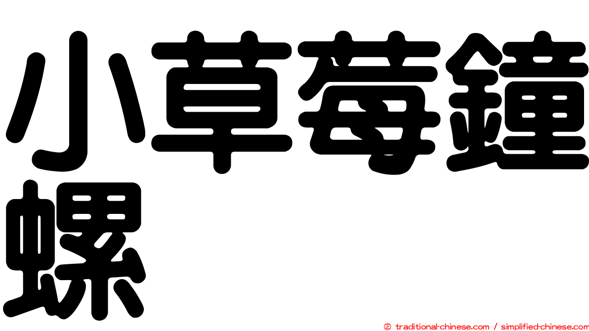 小草莓鐘螺