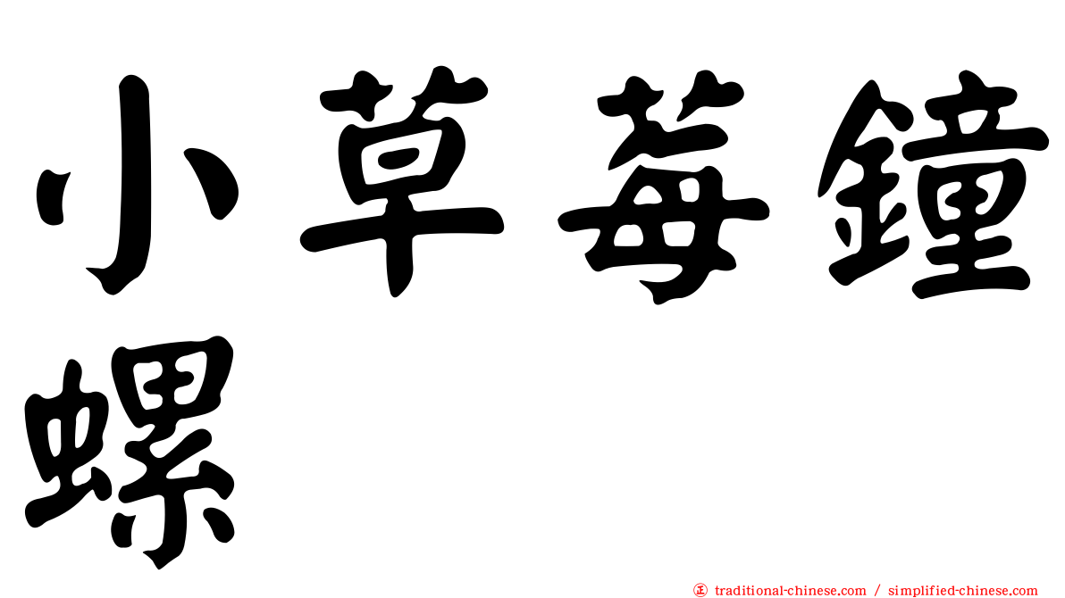 小草莓鐘螺