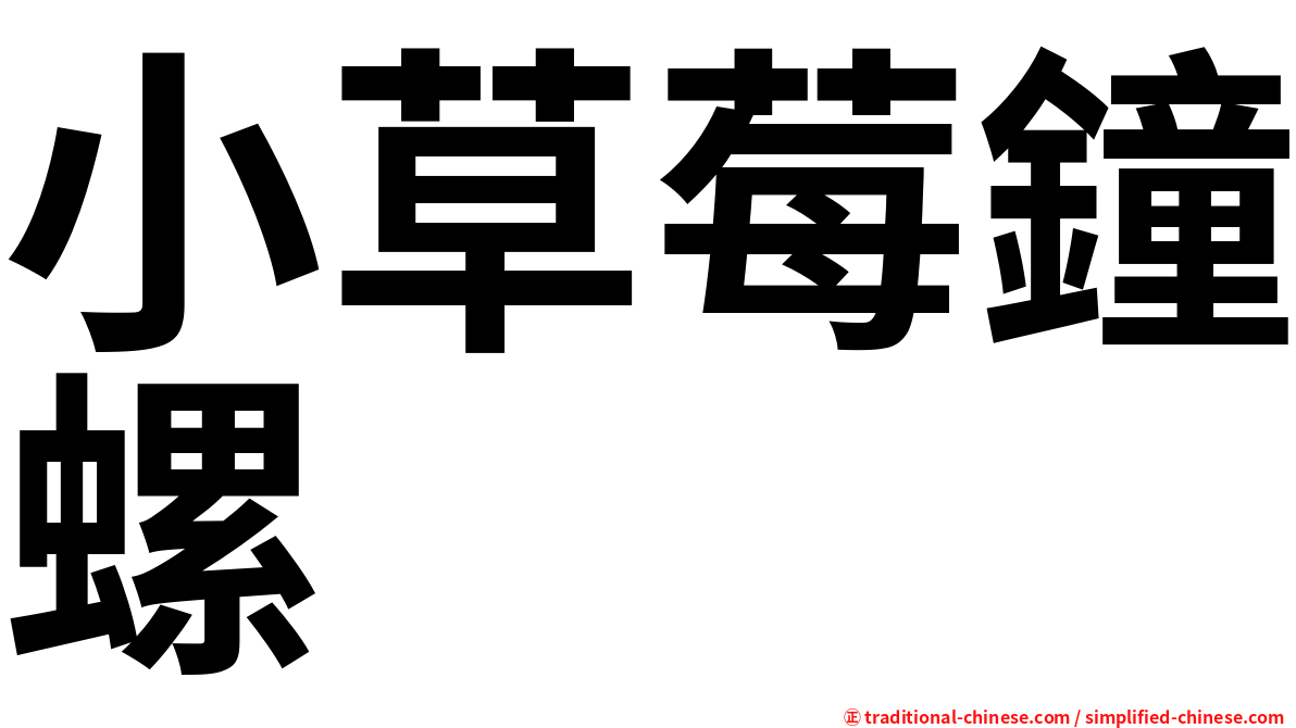 小草莓鐘螺