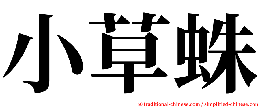 小草蛛 serif font