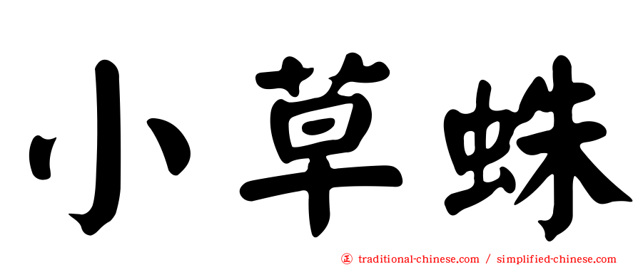 小草蛛