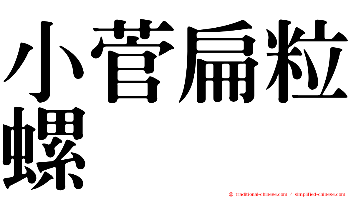 小菅扁粒螺