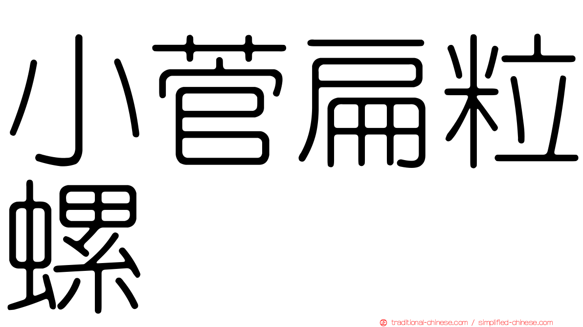 小菅扁粒螺