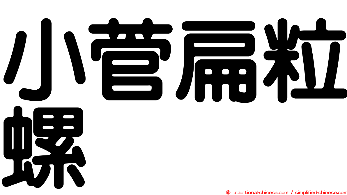小菅扁粒螺