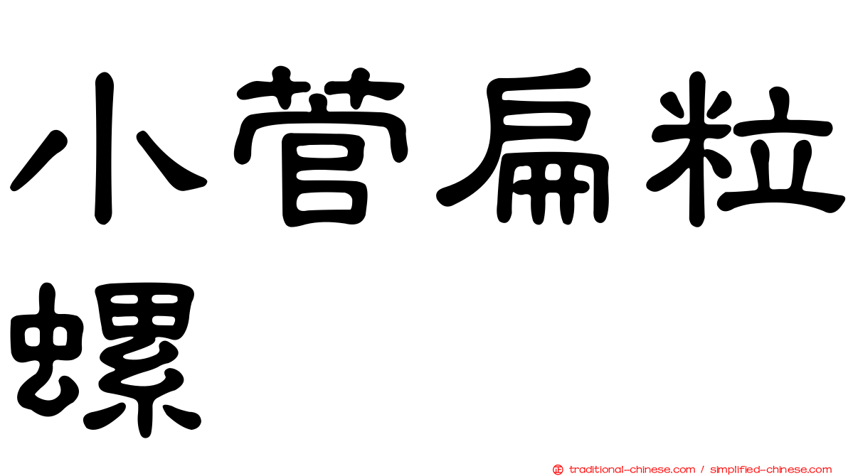 小菅扁粒螺