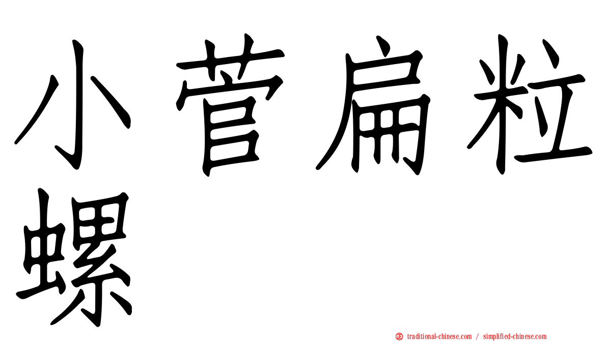 小菅扁粒螺