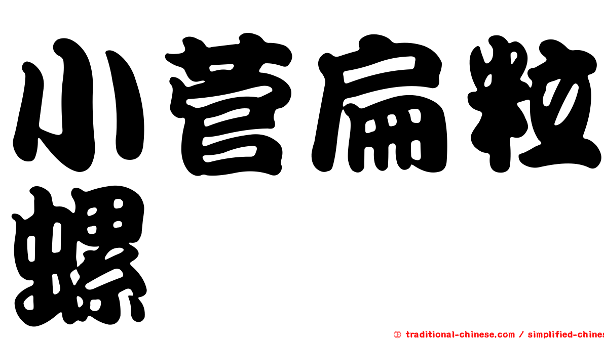 小菅扁粒螺