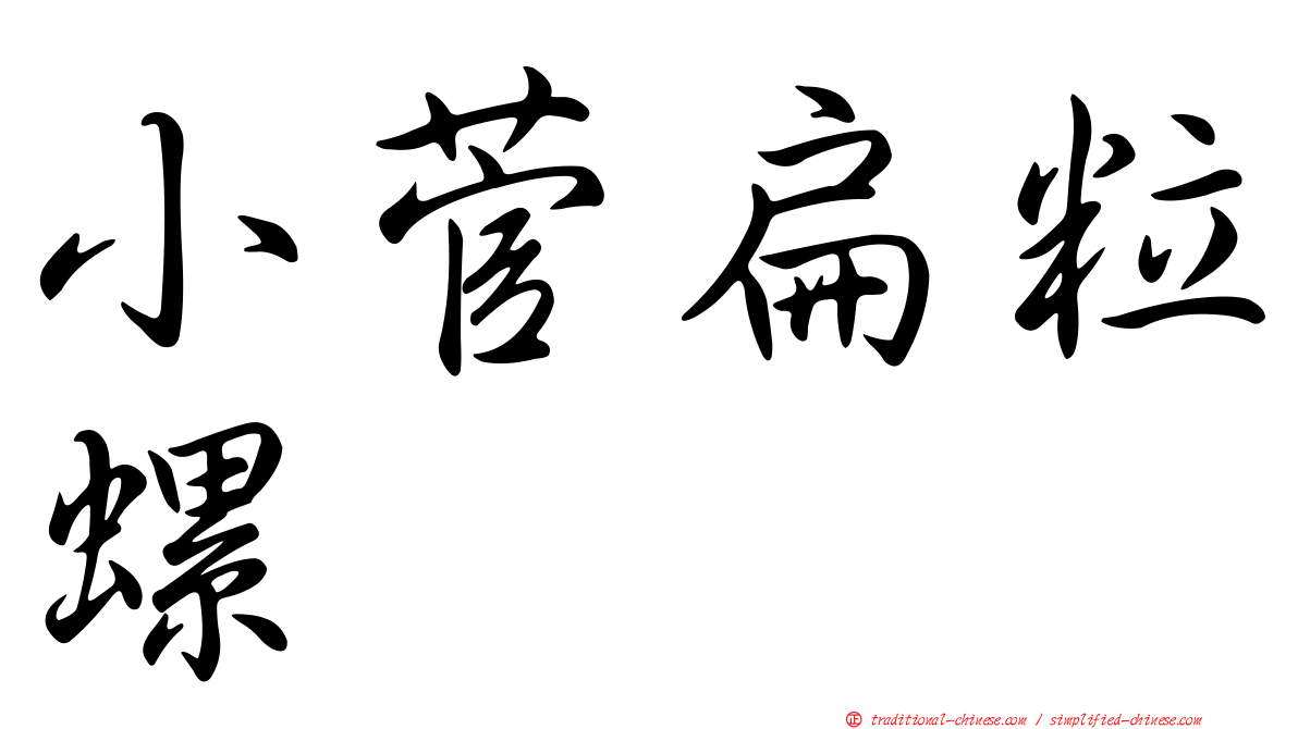 小菅扁粒螺