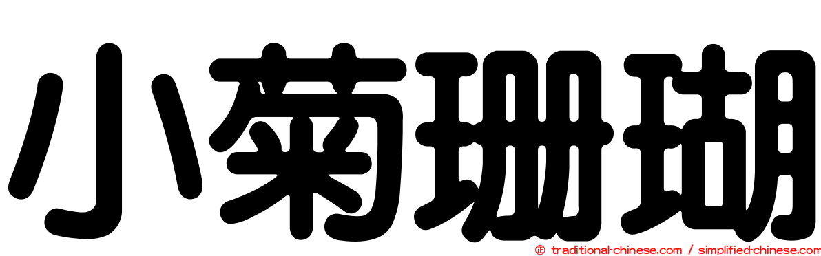 小菊珊瑚