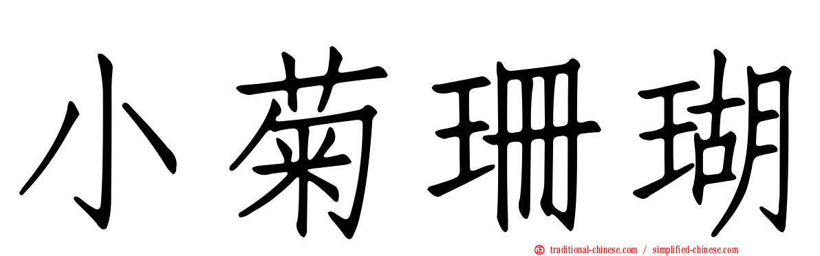 小菊珊瑚