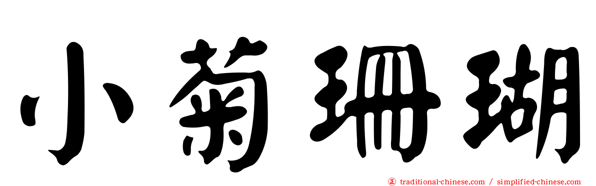 小菊珊瑚