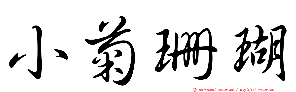小菊珊瑚