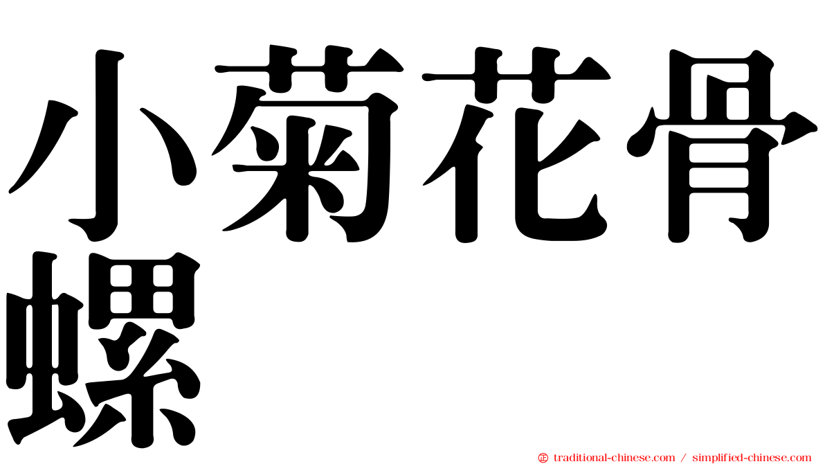 小菊花骨螺