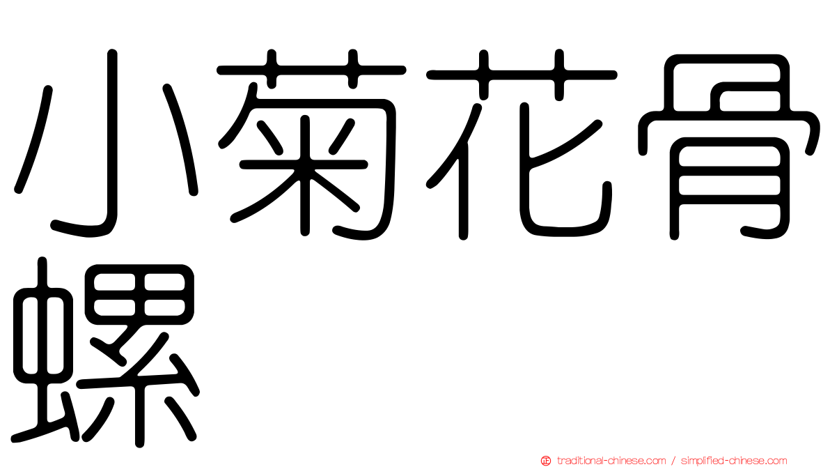 小菊花骨螺