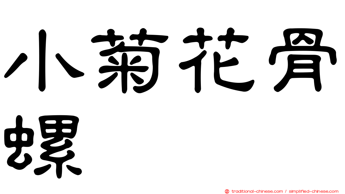 小菊花骨螺